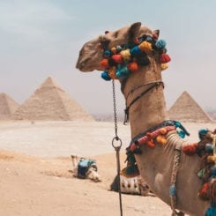 Egipat, dar Nila